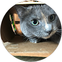 Stephen Cool profile picture